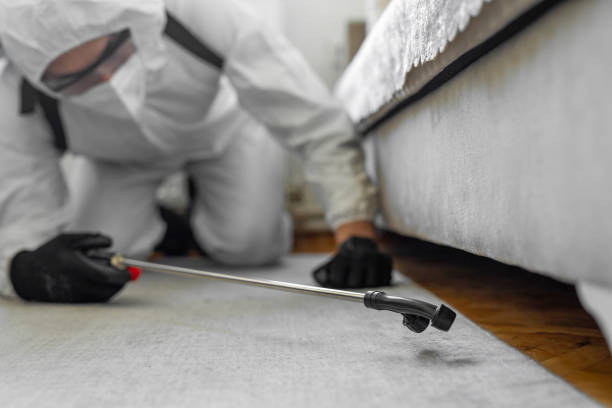 Professional Bed Bug Control technician working in Weslaco, TX